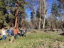 Bird Walk
