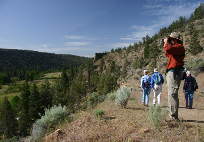 Bird Walk