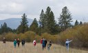 Bird Walk