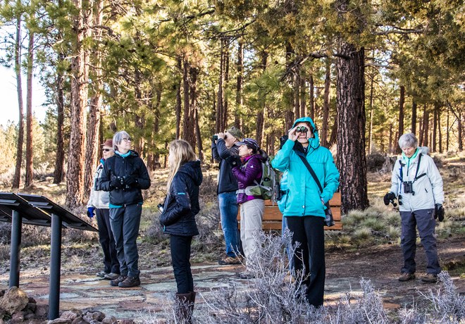 Bird Walk