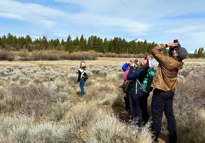 Bird Walk