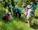Butterfly Walk