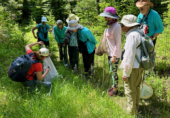 Butterfly Walk