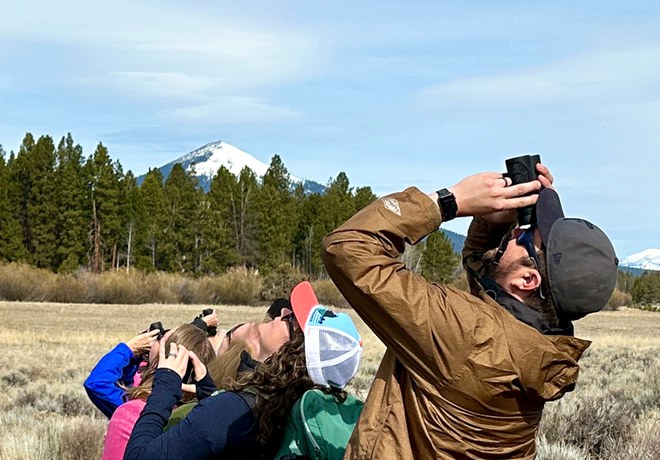 Bird Walk