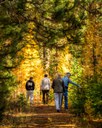 Fall Colors Hike