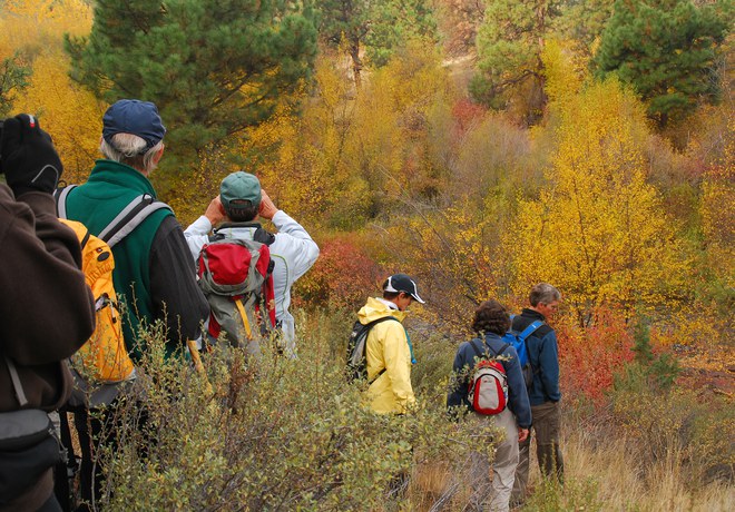Fall Colors Walk