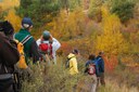 Fall Colors Walk