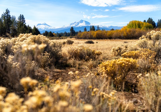 Fall Wandering at Indian Ford Meadow Preserve