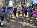 Forest Restoration Tour