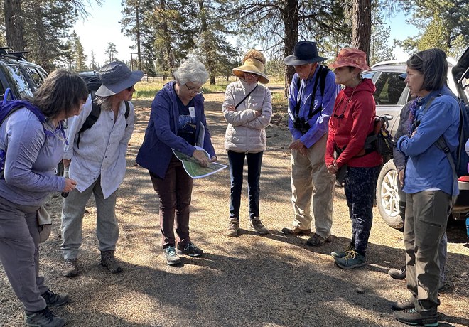 Geology + Plant Hike