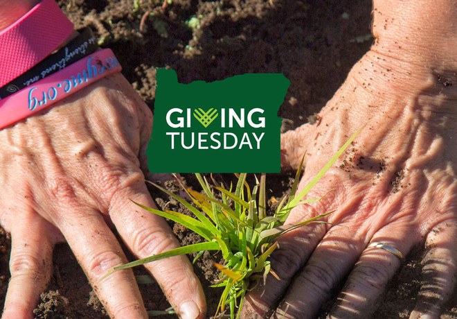 Giving Tuesday