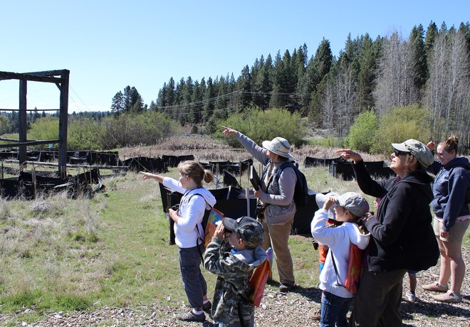 Kids' Bird Walk