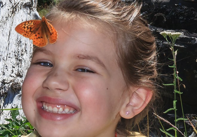 Kids' Butterfly Walk