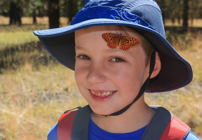 Kids' Butterfly Walk