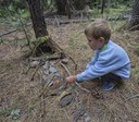 Kids' Fairy Houses