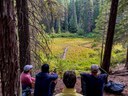 Metolius River Preserve Hike