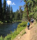 Metolius River Preserve Hike
