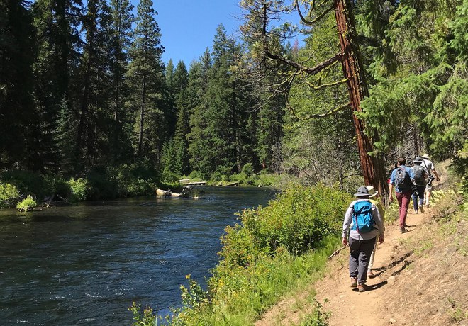 Metolius River Preserve Hike