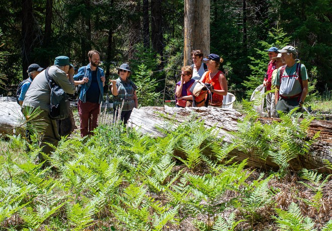 Metolius River Preserve Hike