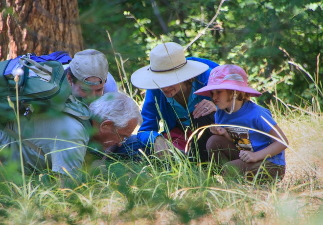 Bioblitz