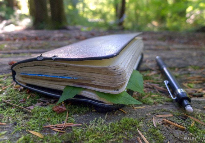 Nature Journaling