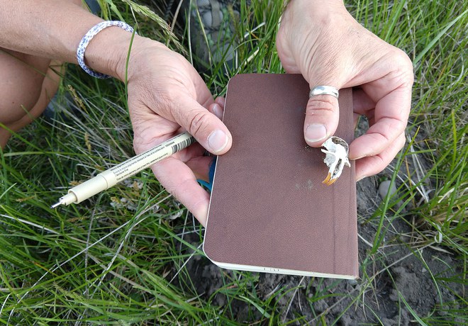 Nature Journaling