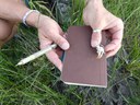 Nature Journaling