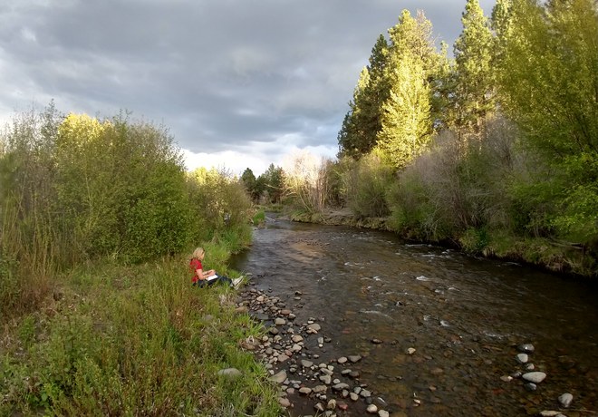 Nature Journaling