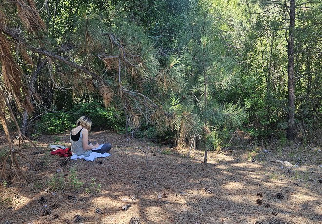 Nature Journaling