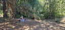 Nature Journaling