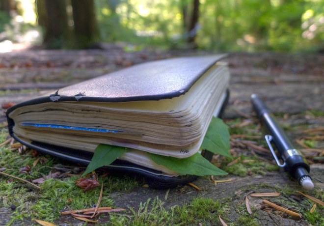 Nature Journaling