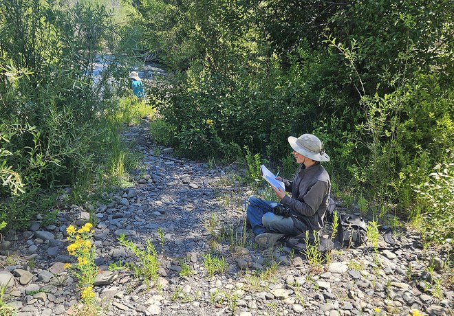 Nature Journaling