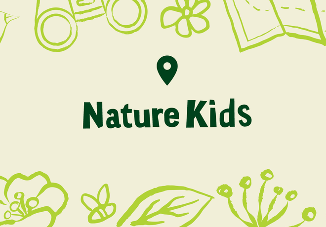 Nature Kids: Animal Architects!