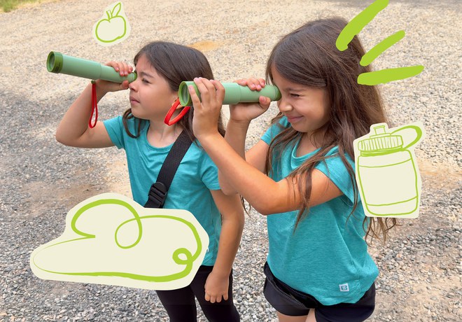 Nature Kids: Bird Basics