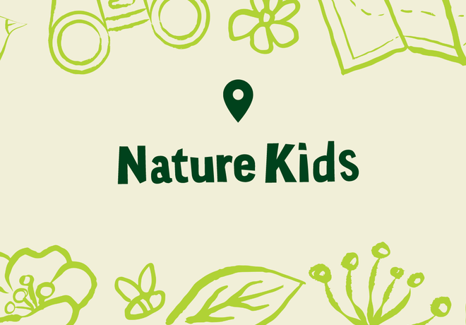 Nature Kids: Buzz into Action!