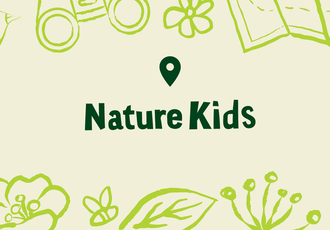 Nature Kids: Buzz into Action!
