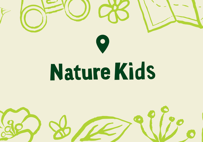 Nature Kids: Flying Wild!