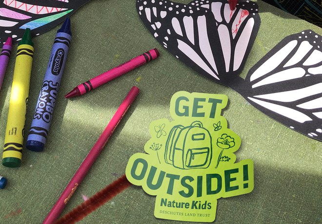 Nature Kids: Insect Olympics!