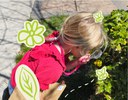 Nature Kids: Pollinator Power!