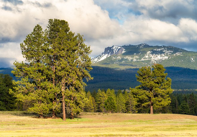 Paulina Creek Preserve Tour
