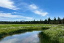 Paulina Creek Preserve Tour