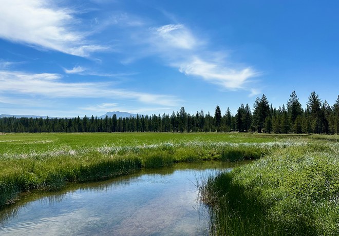 Paulina Creek Preserve Tour