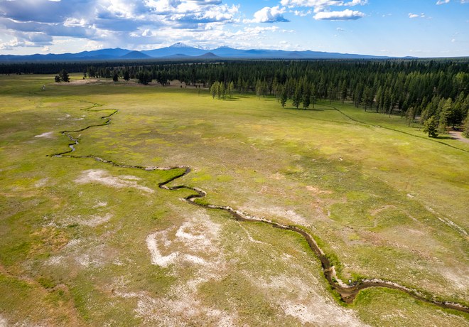 Paulina Creek Preserve Tour