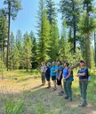 Plant Hike
