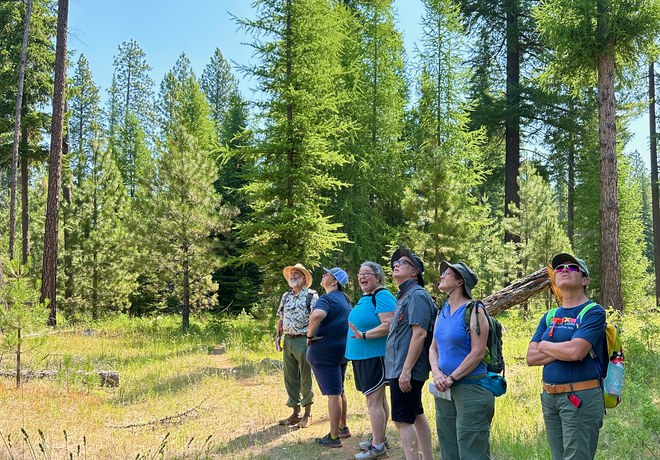 Plant Hike