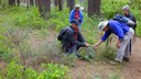 Plant Hike