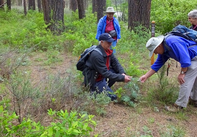 Plant Hike