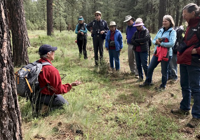 Plant Hike