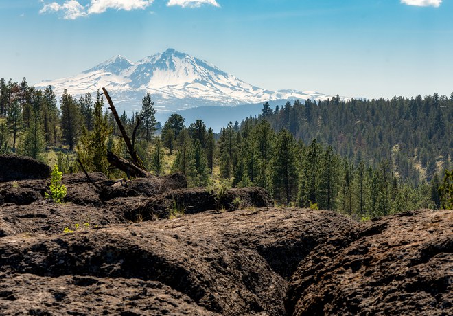 Santiam Wagon Road Walk