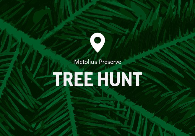 Tree Hunt